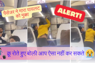 IndiGo 6E 2175: पैसेंजर ने किया पायलट की कुटाई गोवा जा रही थी फ्लाइट